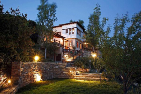 Great Pelion Villa Villa Selini 4 bedrooms Private Pool Aghios Georgios